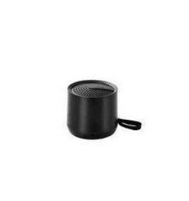 WSTER ws-301 BT mini speaker