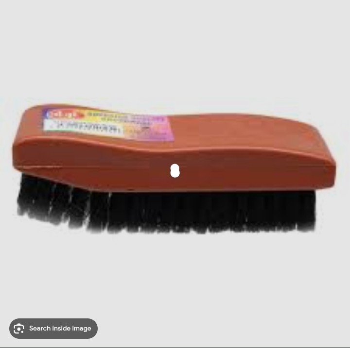 Shoe Brush