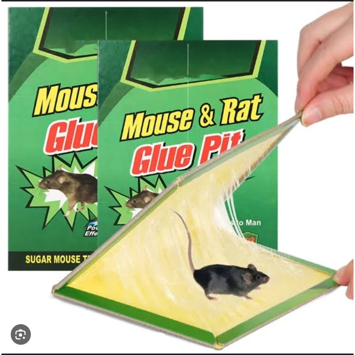 Hovex Green mouse and rat glue trap.