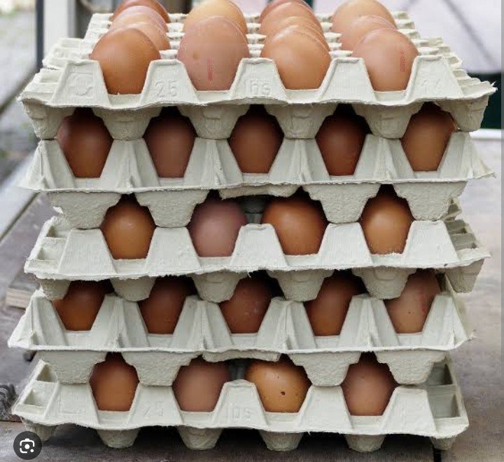 Eggs crate
