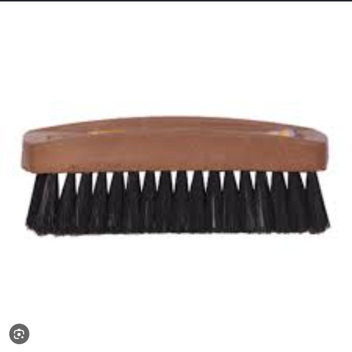 Shoe Brush